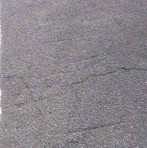 Meet your Posher, Rodney